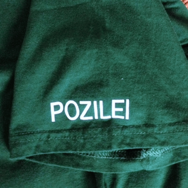Das grüne Shirt